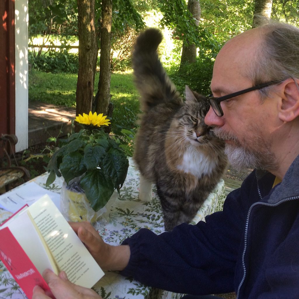 [Suomalainen lukija tunnistaa Dovlatovissa ehkä Huovista, Merta tai Paasilinnaa. Dialogi on hetkittäin silkkaa Kaurismäkeä. Professori Tomi Huttunen Pentti Tapion Dovlatov suomennoksien arviossaan HS:ssa vuonna 2012]